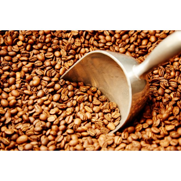 Kaffeabonnement - Espresso Organica
